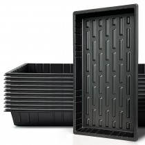 Seedling Tray For Microgreens Pack of 10 