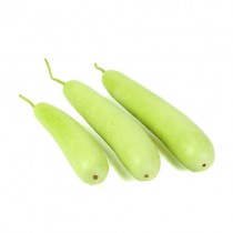 Bottle Gourd (Ghiya Lambi) seeds