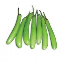 Green Long Brinjal (Hara Lamba Bengan) seeds