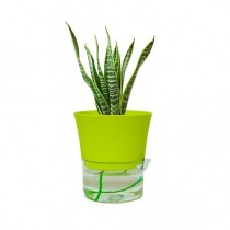 Self Watering Planter Assorted Color