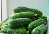 Cucumber Seeds