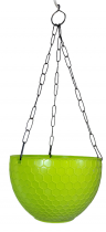 6 inch Hexa Hanging Basket Green Colour