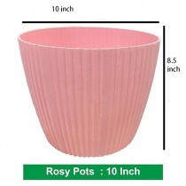 Rosy Pot 10 inches Assorted