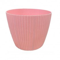 Rosy Pot 10 inches Assorted