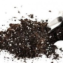 Seedling Mix 450 Grams