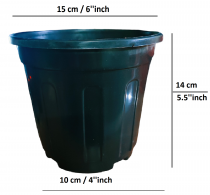 6 inch Nursery Black Pot 