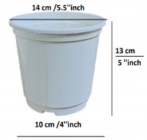 5.5 inch Nursery pot White colour