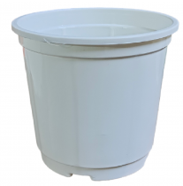 5.5 inch Nursery pot White colour