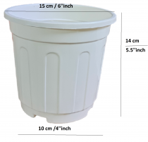 6 inch Nuresry Pot White colour 
