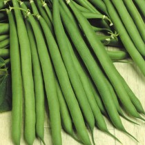 French Beans/Fresh Phalli Seeds