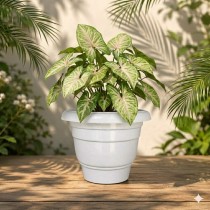 14 inch Eco Fresh Pot Marble White Color