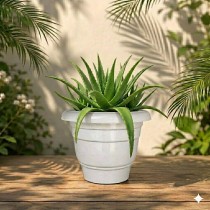 12 inch Eco Fresh Pot Marble White color