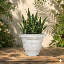 10 Inch Eco Fresh Pot Marble White color