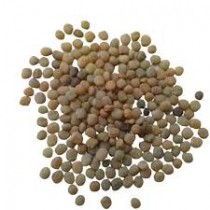 Guar Phali Cluster Beans Vegetable Seeds