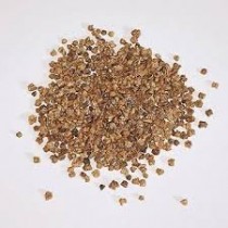 Spinach (Palak) seeds