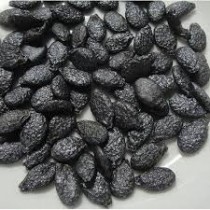 Ridge Gourd (Tori) seeds