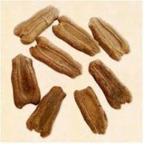 Round Bottle Gourd (Gol Ghiya) seeds