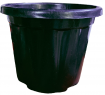 8 Inch Nursery Black pot 