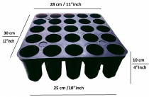 25 Cavity Root Trainer