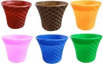 12 Inch Alexa pot Assorted Color