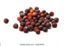 Cabbage (patta gobhi) 50+ seeds