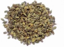 Carrot (Gajar) 100+ seeds