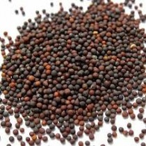 Cauliflower (phool gobhi) seeds