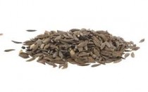 Green Lettuce grand rapid  30-50 seeds