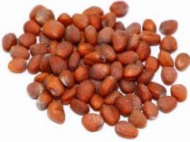Radish (mooli) 30+ seeds