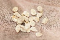 Arka apeksha tomato seeds