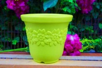 12 inch Plastic Sunny pot